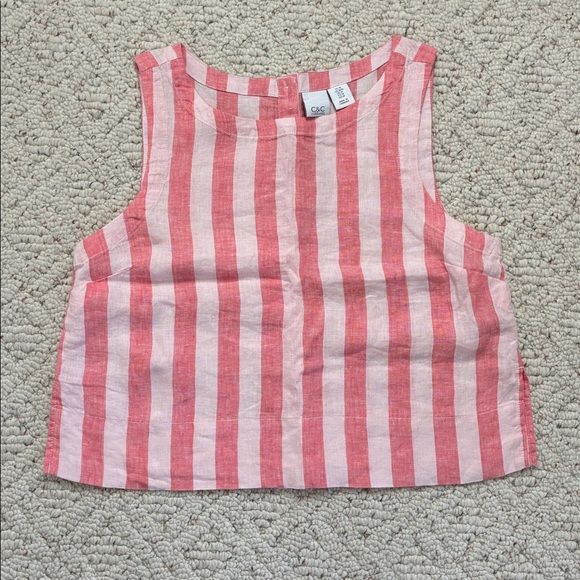 C&C California Striped Pink and Cream Crop Top with Button Up Back Detail - Picture 6 of 9